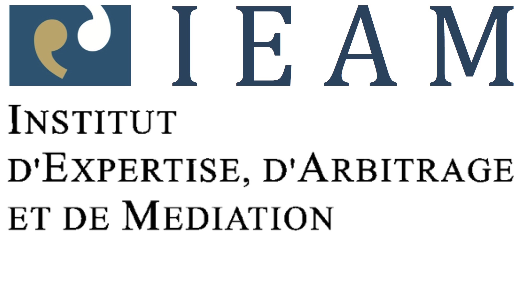 IEAM LOGO